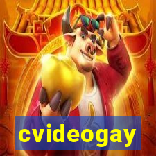 cvideogay