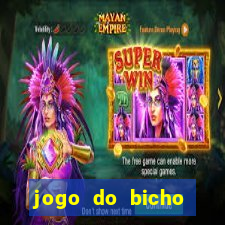 jogo do bicho documentario globoplay