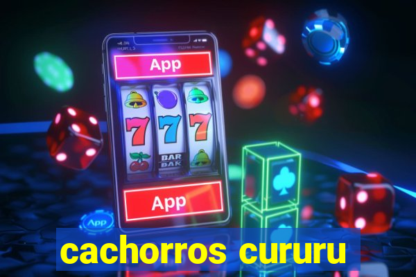 cachorros cururu