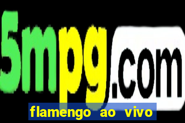 flamengo ao vivo multi tv