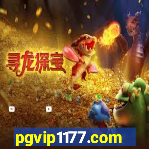 pgvip1177.com