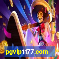 pgvip1177.com