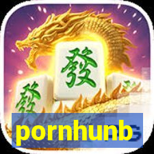 pornhunb