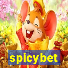 spicybet-1.com