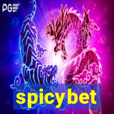 spicybet-3.com