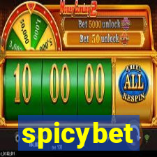 spicybet-5.com