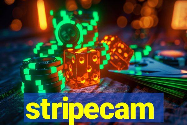 stripecam