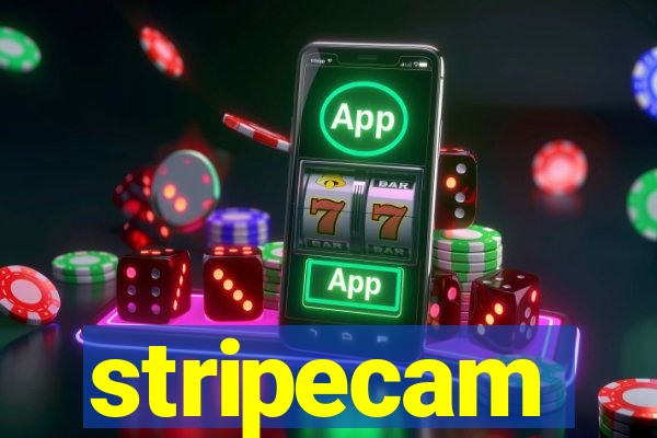 stripecam