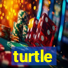 turtle-ty.com