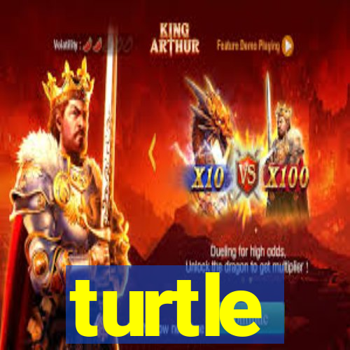 turtle-ty.com