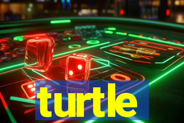 turtle-ty.com