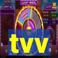 tvv-pg.com