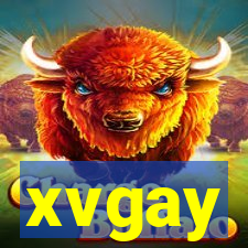 xvgay